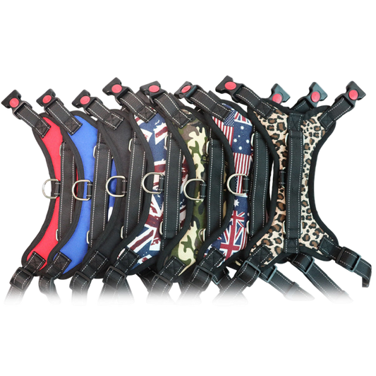 Dog Colorful Harness
