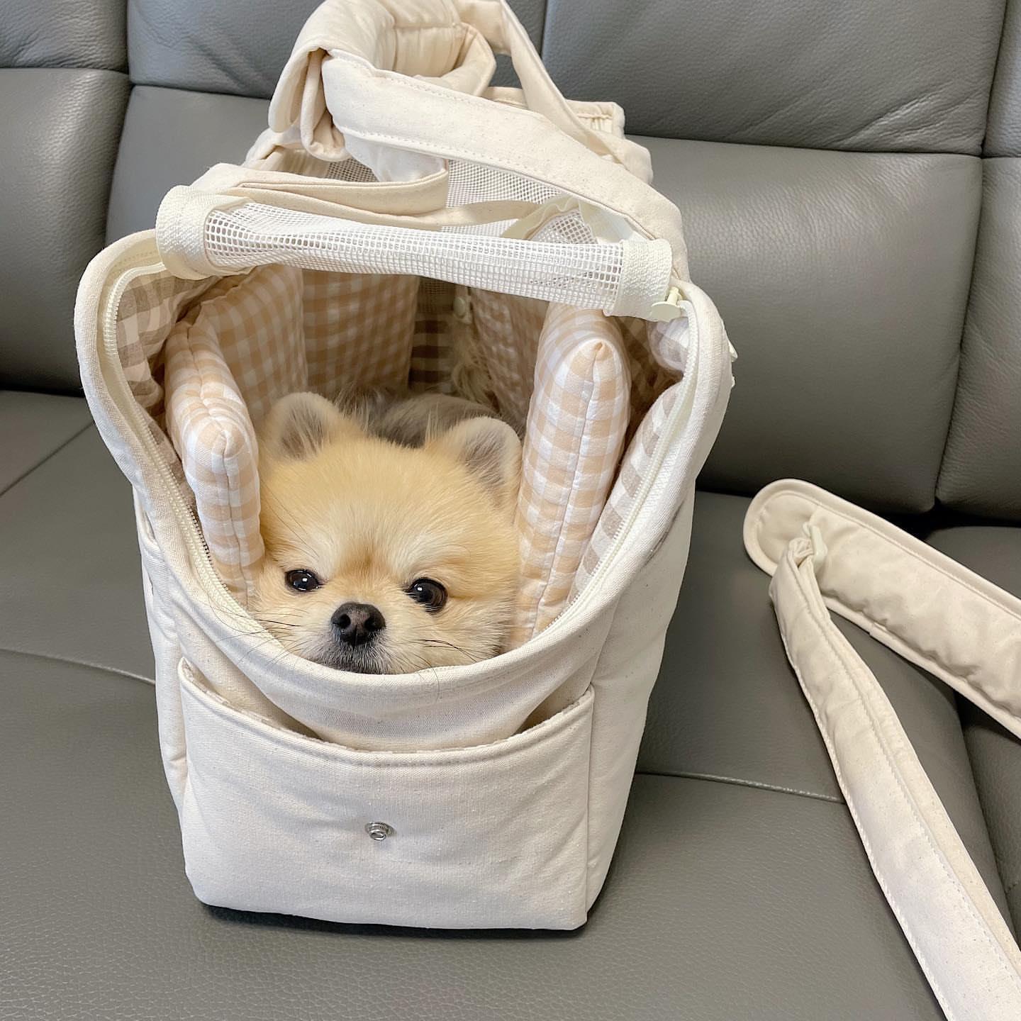 Pet Travel Carrier