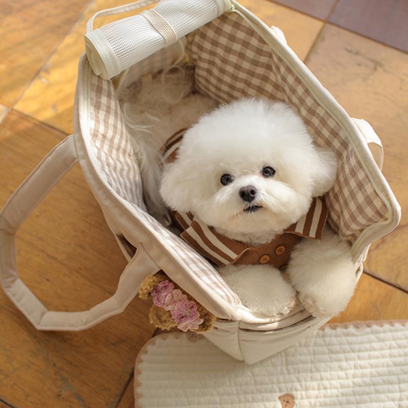 Pet Travel Carrier