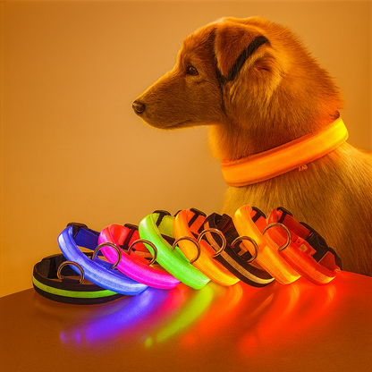 Dog LED Collar