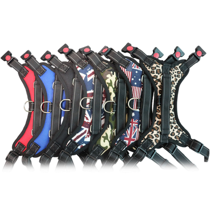 Dog Colorful Harness