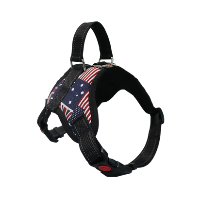 Dog Colorful Harness
