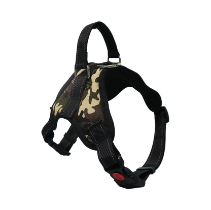 Dog Colorful Harness