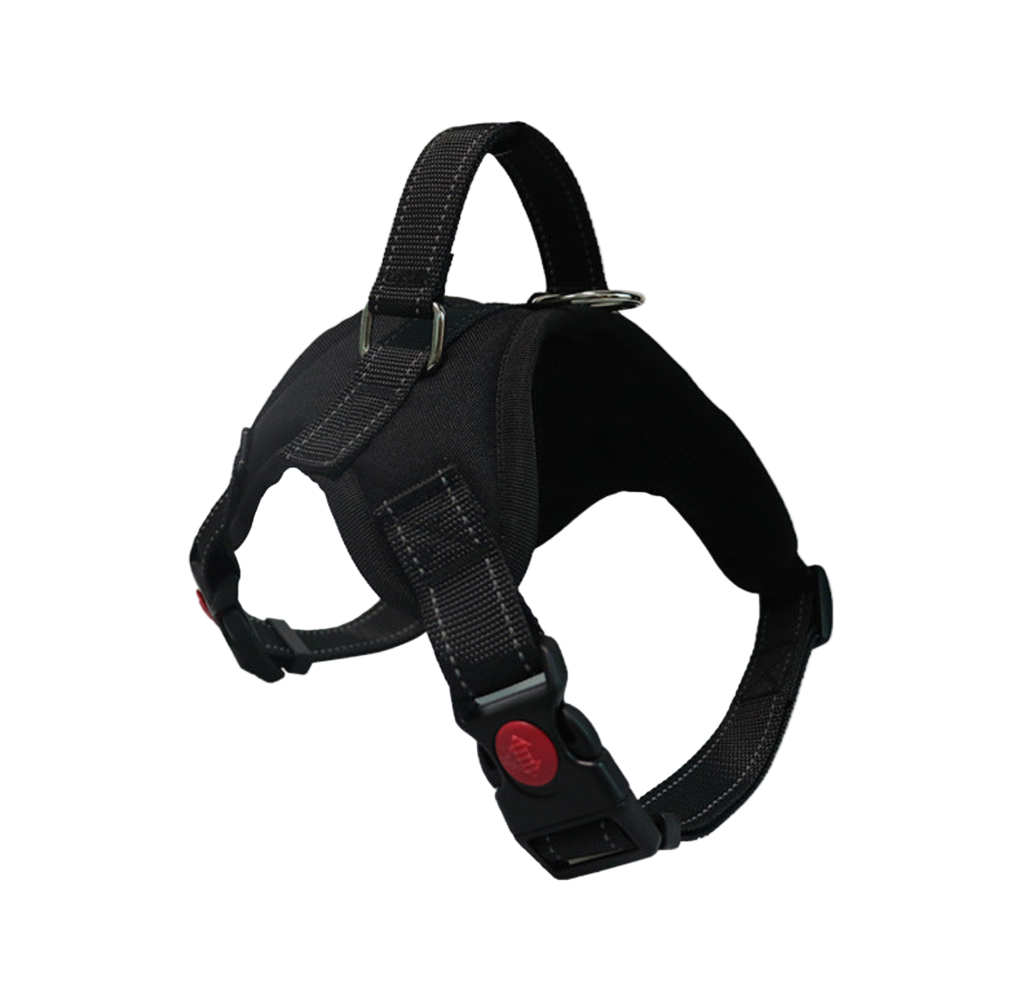 Dog Colorful Harness