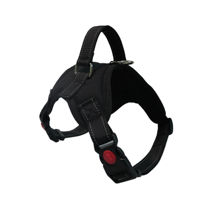 Dog Colorful Harness