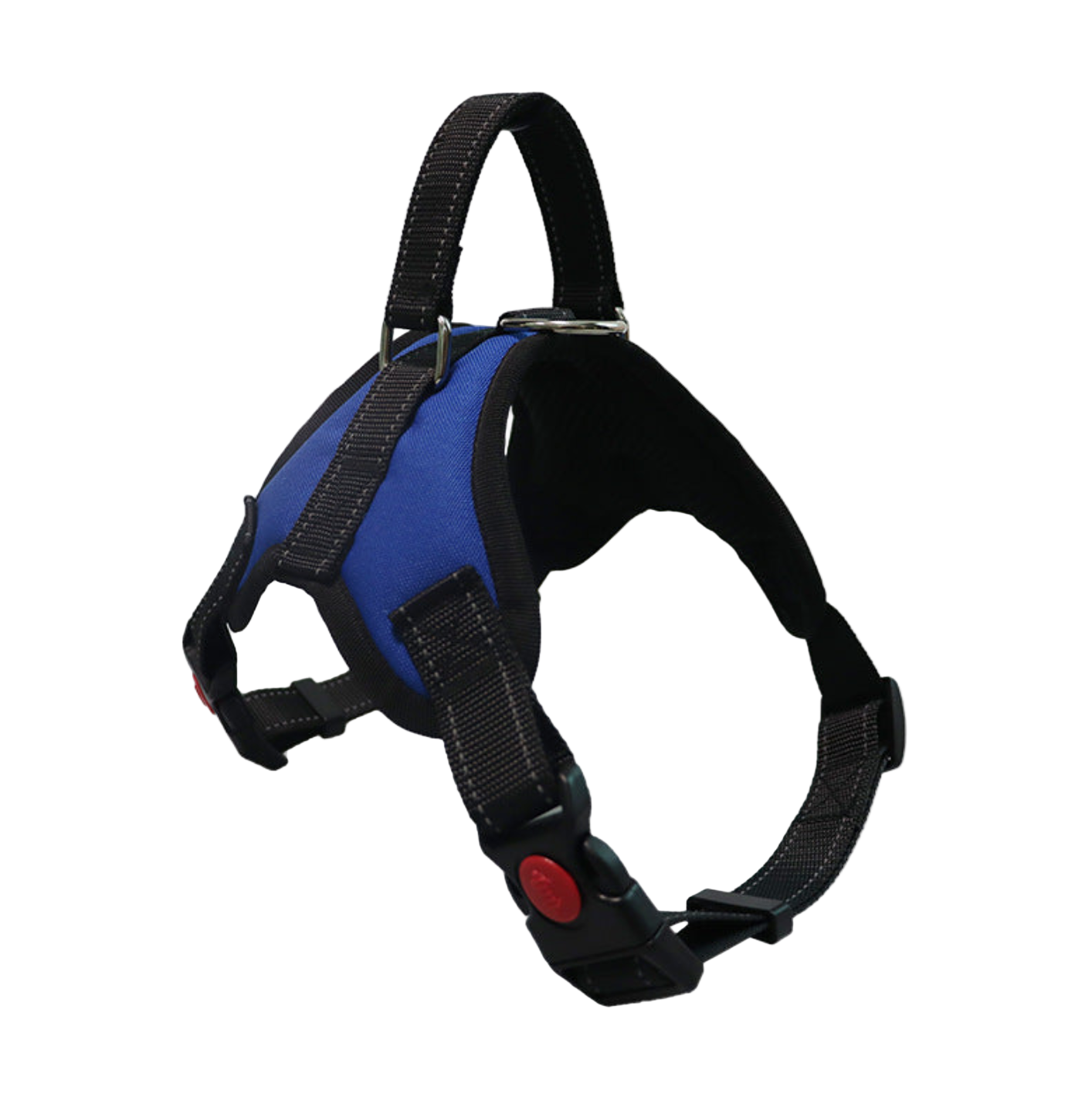 Dog Colorful Harness