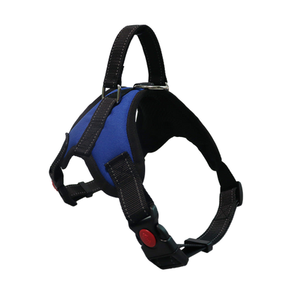 Dog Colorful Harness