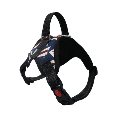 Dog Colorful Harness
