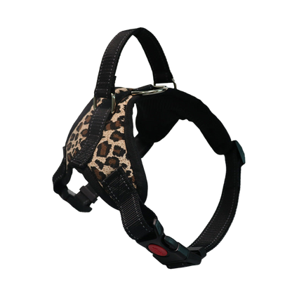 Dog Colorful Harness