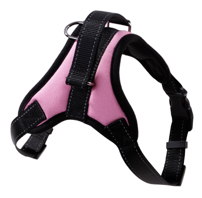 Dog Colorful Harness