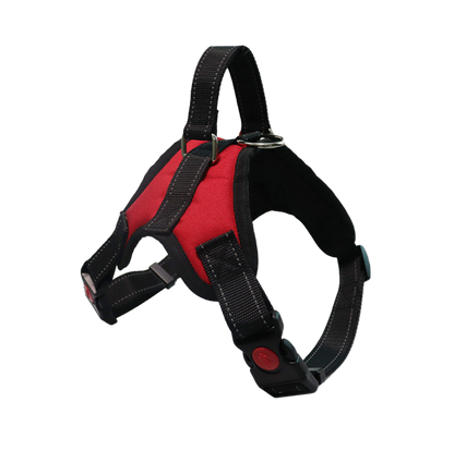 Dog Colorful Harness