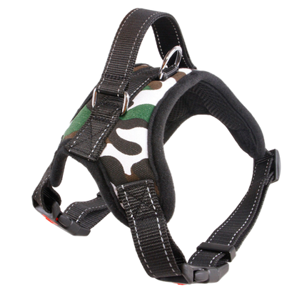 Dog Colorful Harness