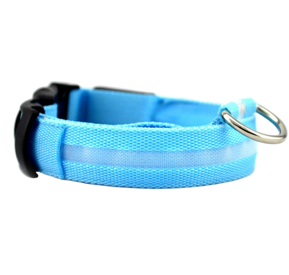 Dog LED Collar