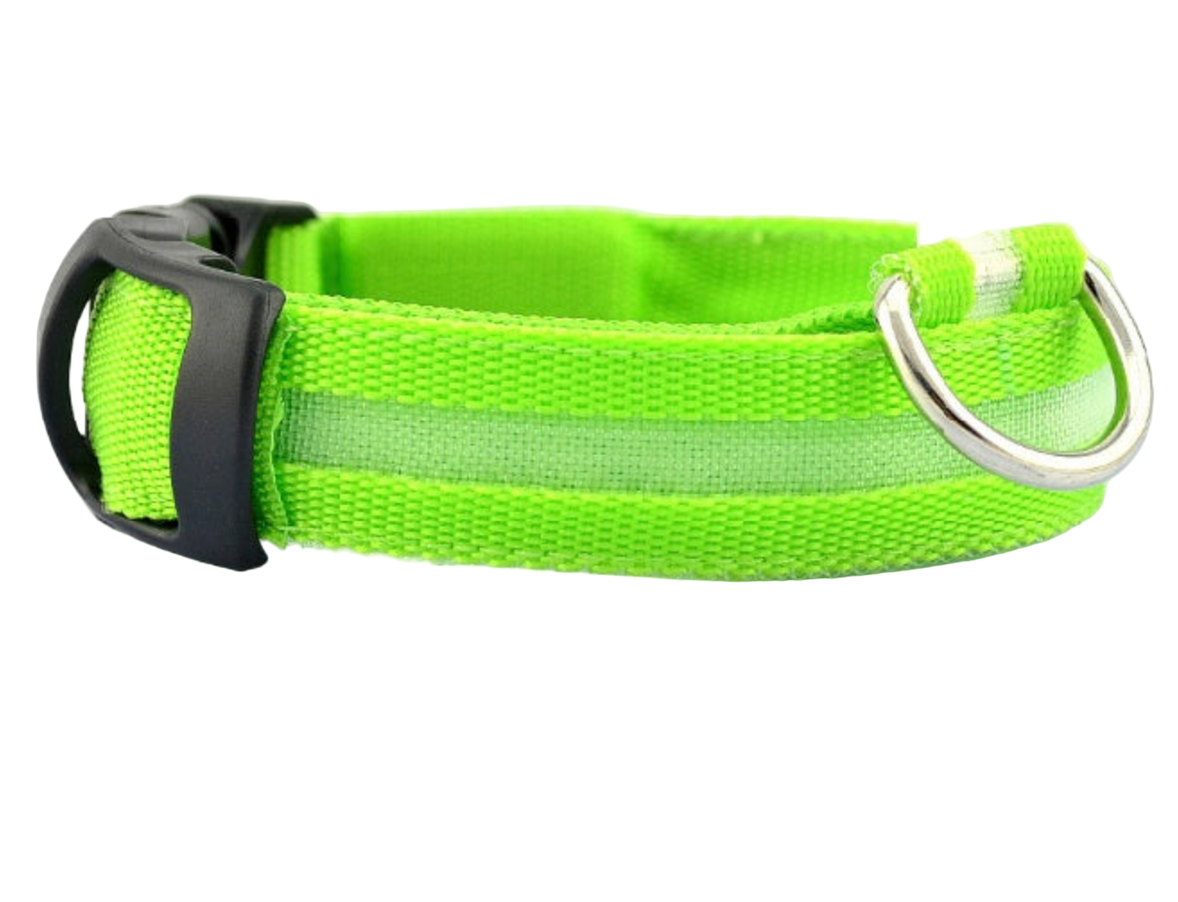 Dog LED Collar