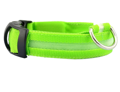 Dog LED Collar