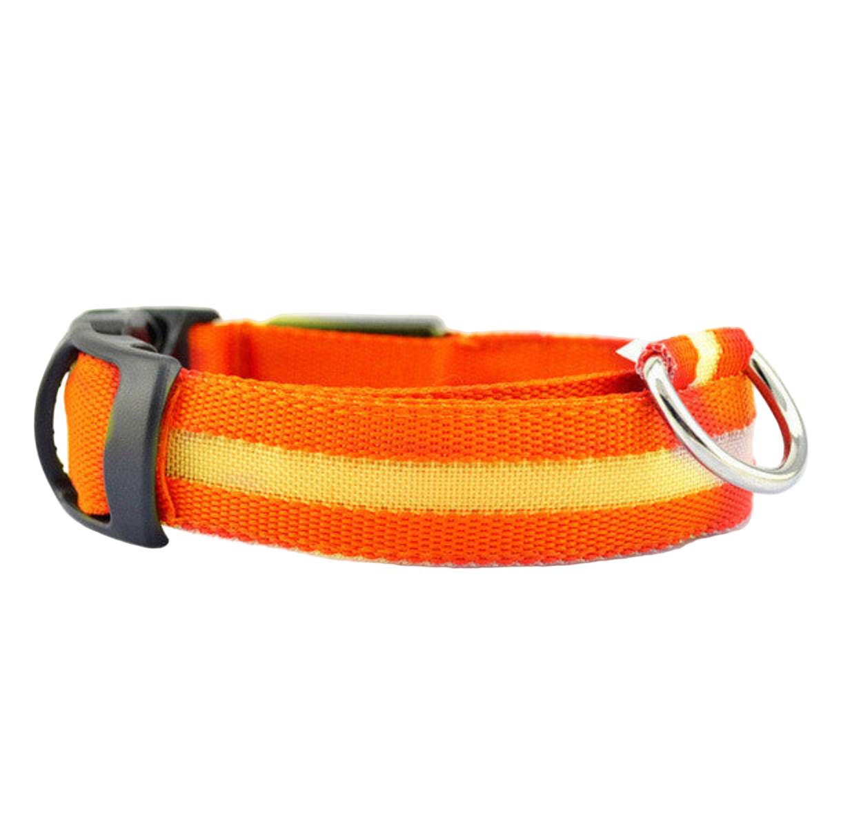 Dog LED Collar