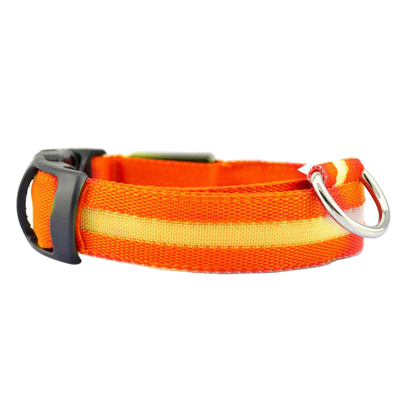 Dog LED Collar