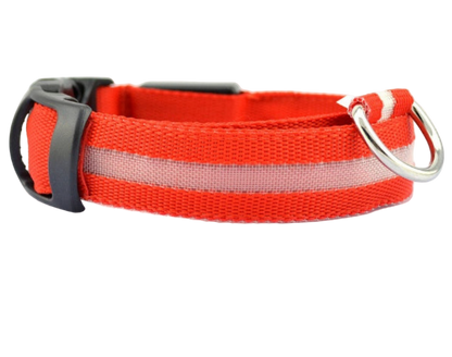 Dog LED Collar