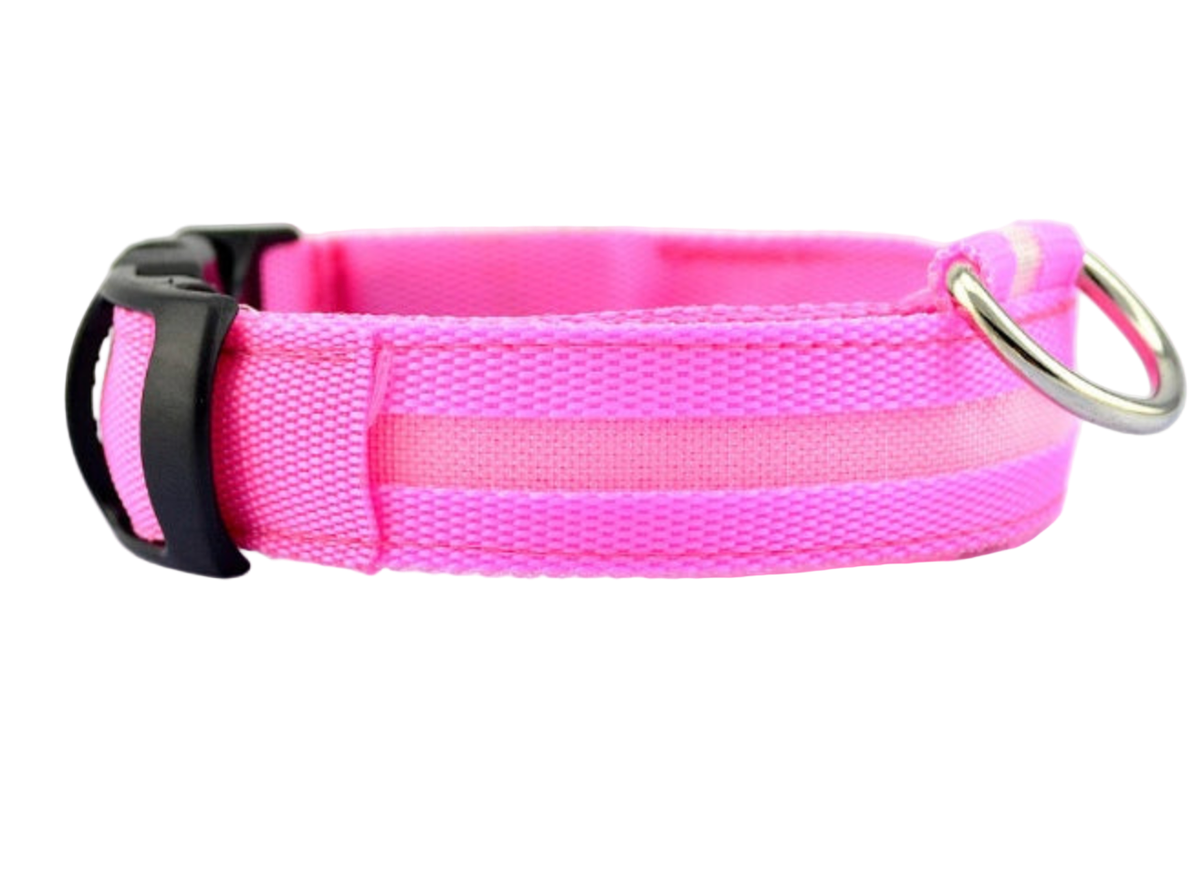 Dog LED Collar
