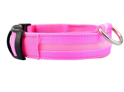 Dog LED Collar