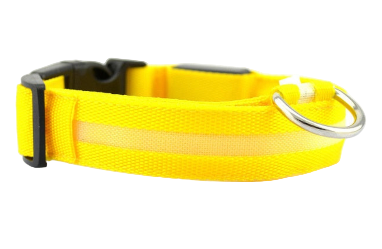 Dog LED Collar