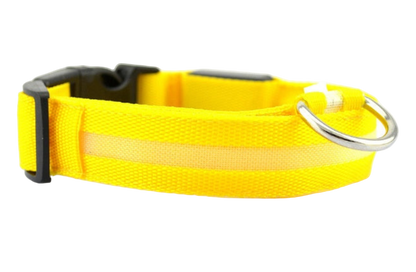 Dog LED Collar
